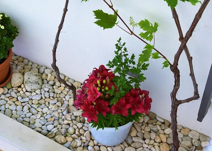 Adria View * Makarska